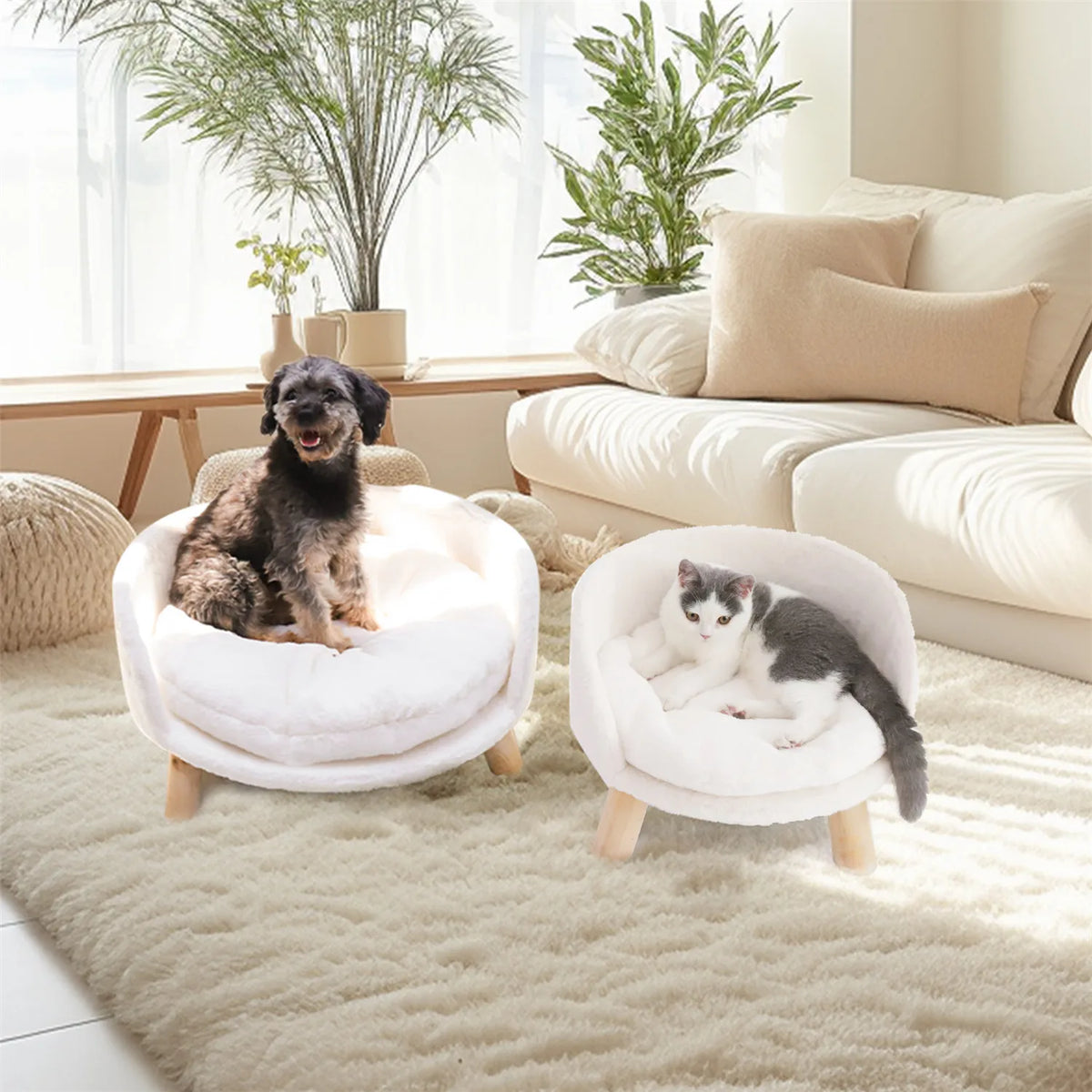 BINGOPAW Raised Pet Sofa Bed With Removable Cushion